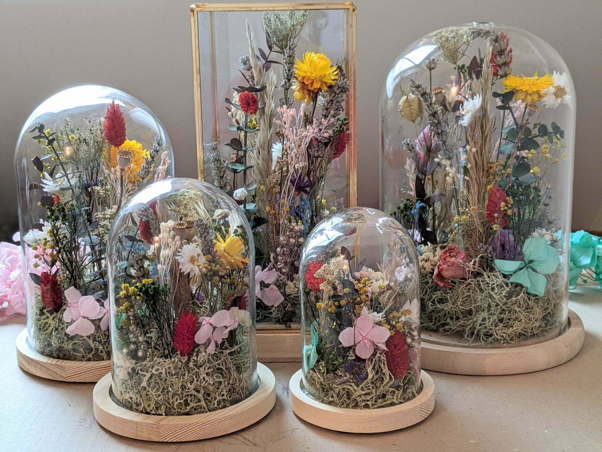 Cloches En Verres Fleurs S Ch Es Et Pr Serv Es Pour D Coration D