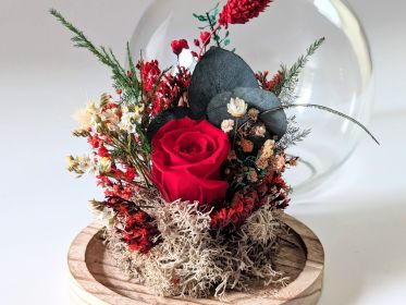 Cloche en verre et rose éternelle rouge pour décoration d’intérieur Amor par Flora Paris
