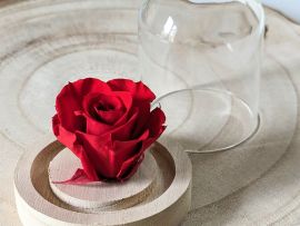 Rose éternelle rouge sous mini cloche en verre Valentina par Flora Paris