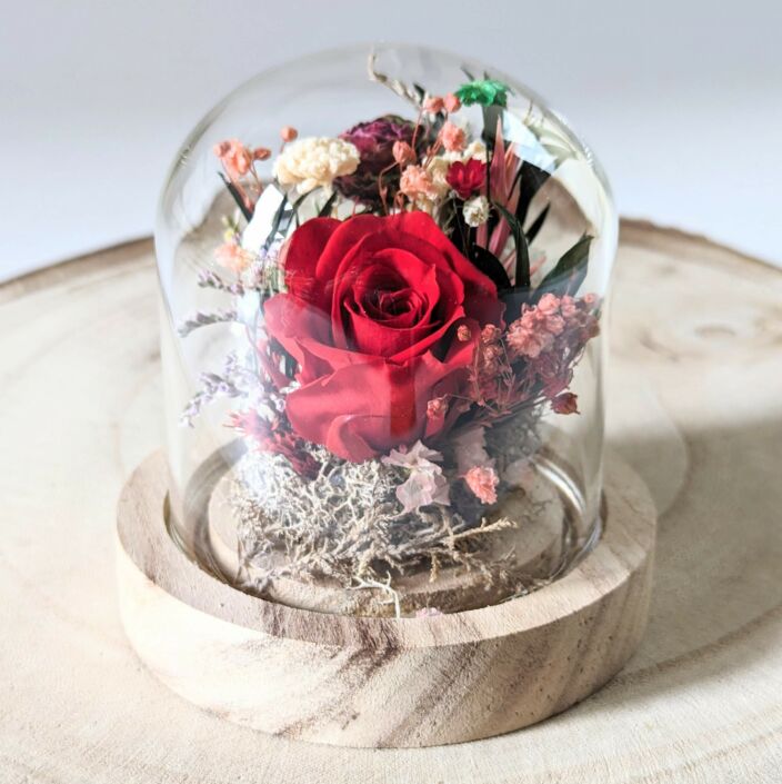 Mini cloche en verre avec fleurs séchées & fleurs stabilisées, décoration d’intérieur pour Noël, Gabrielle 4