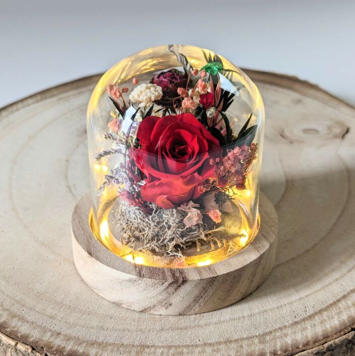 Mini cloche en verre avec fleurs séchées & fleurs stabilisées, décoration d’intérieur pour Noël, Gabrielle 2