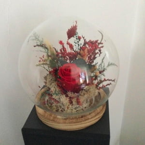 Cloche en verre et rose éternelle rouge pour décoration d’intérieur, Amor évaluée par Angelique
