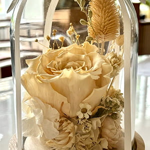 Cloche en verre et fleurs éternelles pour décoration d’intérieur, Véga évaluée par Caroline